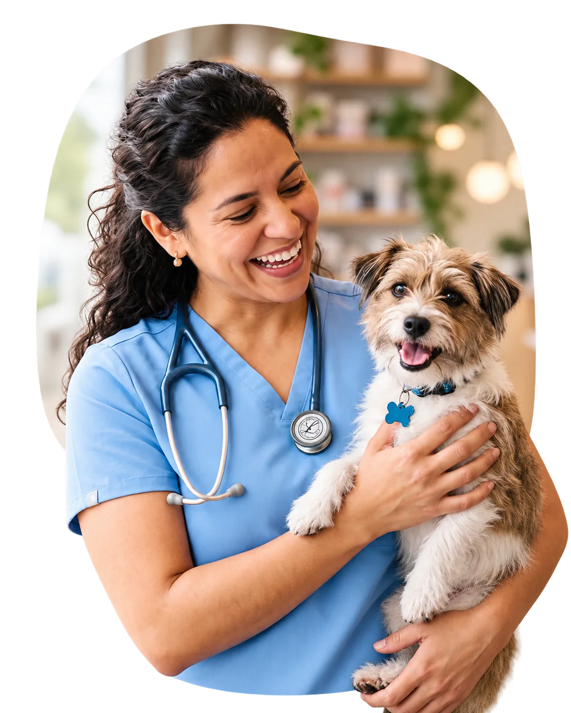 A licensed veterinarian examining a small dog in a clinic